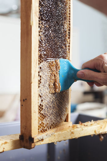 Cropped image of hand cleaning wooden beehive frame