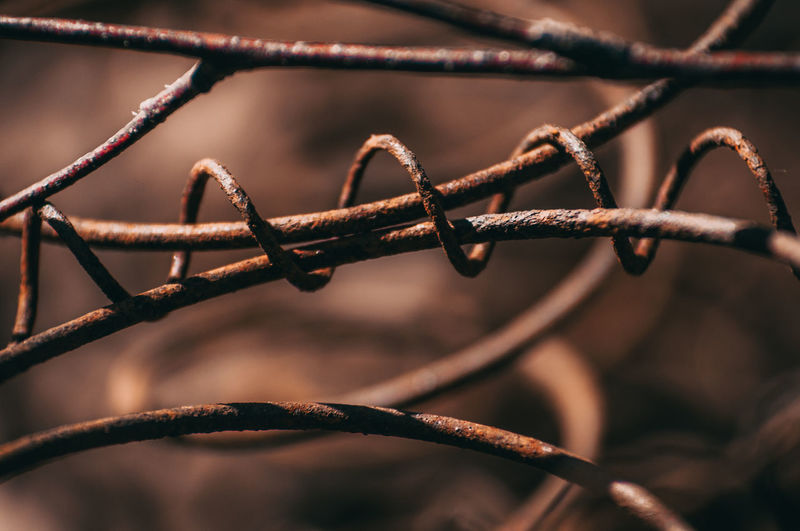 Close-up of rusty barbed wire