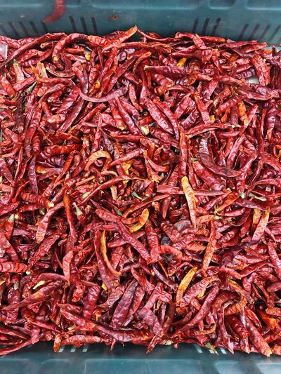 Close up of dried chilli  background.