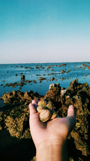 A beach is not only a sweep of sand 