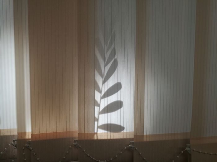 Shadow of window on wall at home