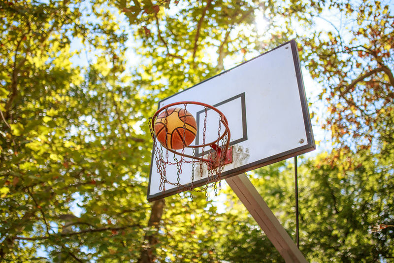 Low angle view of basketball in hoop against trees