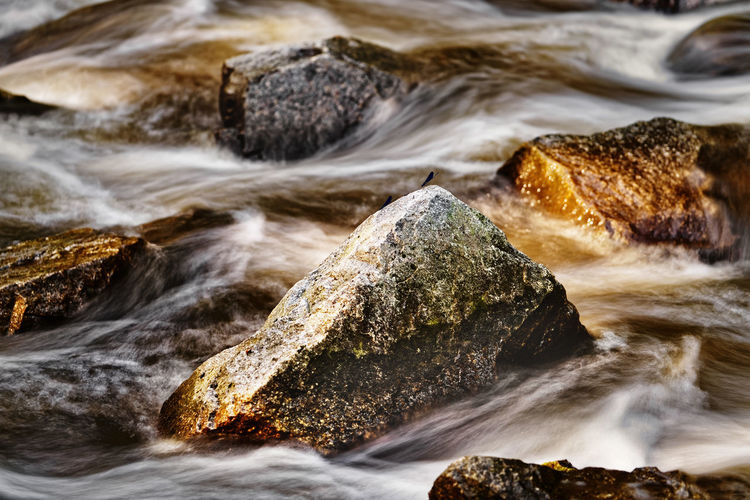 Close-up of water flowing over rocks