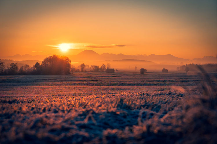 Scenic view of field against sky during sunset