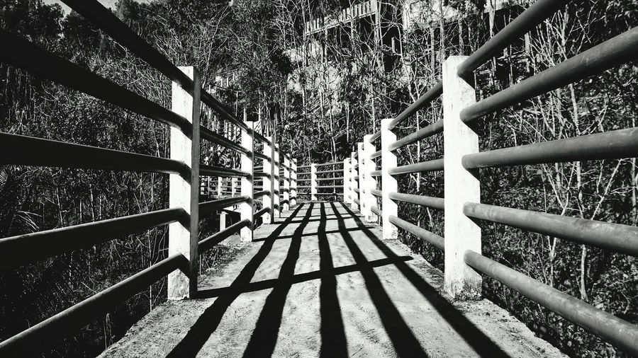 Empty footbridge in forest