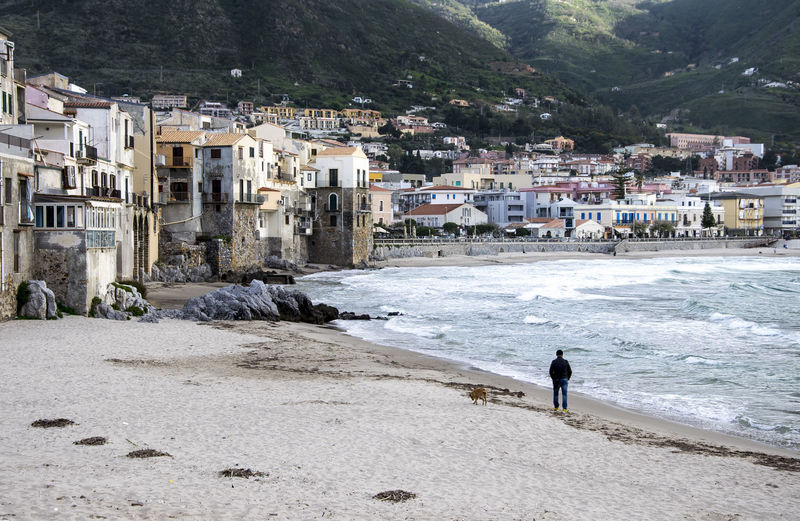 Man walking with dog at beach against buildings