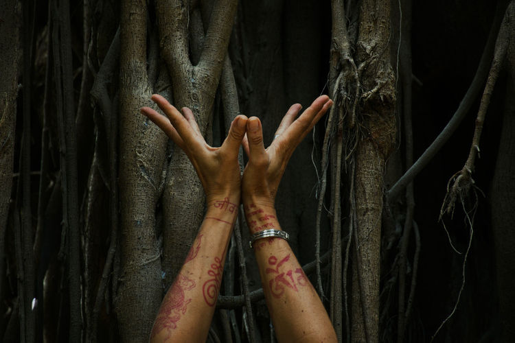 Close-up of hand