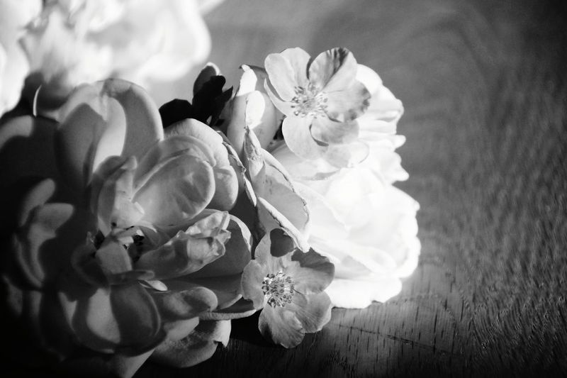Close-up of white roses on table