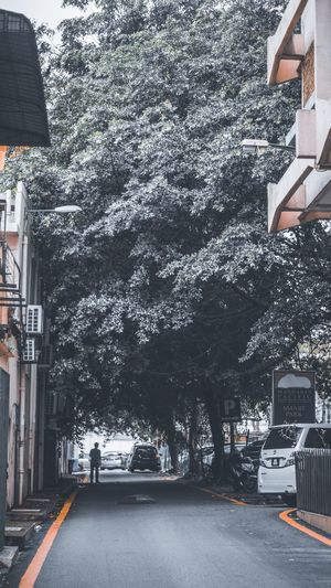 Street amidst buildings in city