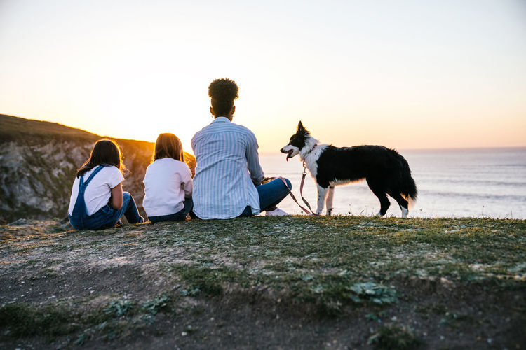 Back view of unrecognizable mother with children and border collie dog sitting on shore near sea and admiring sundown while spending evening together on beach