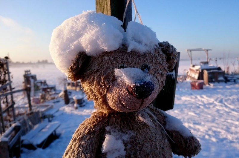 Close-up of teddy bear on snow covered landscape
