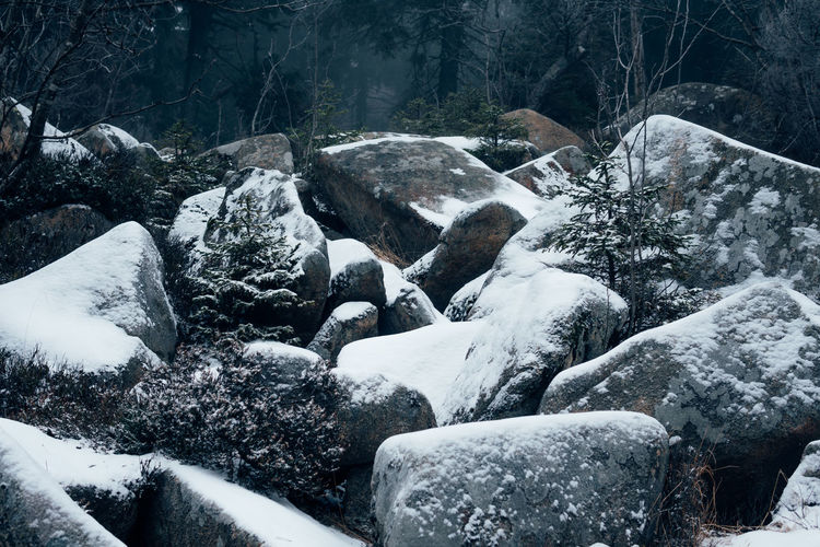 Snow covered rocks in forest