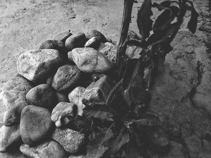 Close-up of pebbles on beach