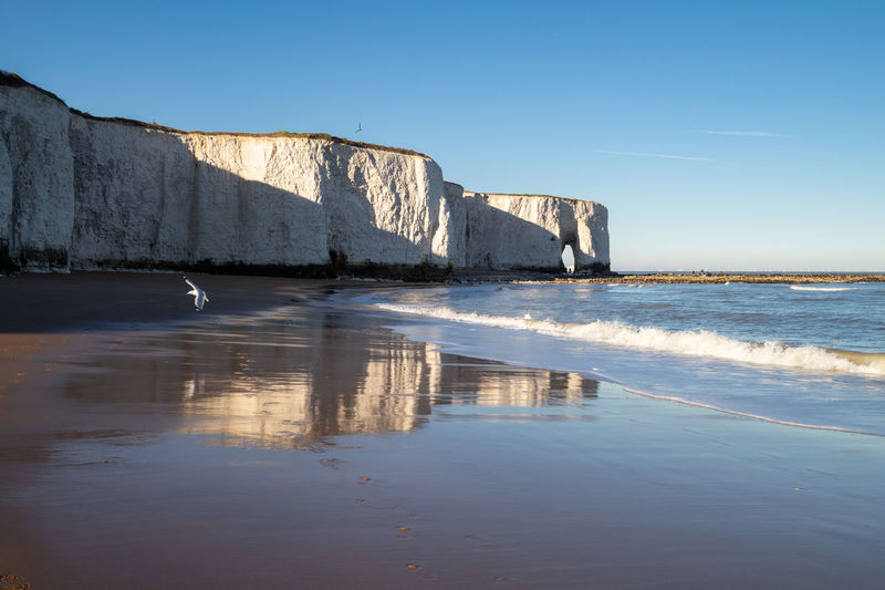 Limestone cliffs of botany bay, kent, reflected in the wet sand