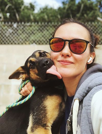 Portrait of smiling woman wearing sunglasses while being licked by dog