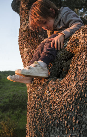 Low angle view of boy sitting on tree trunk