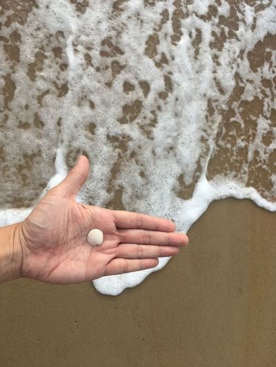 Human hand holding sand on beach