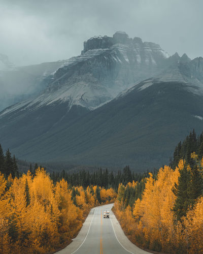 Road amidst trees against mountains