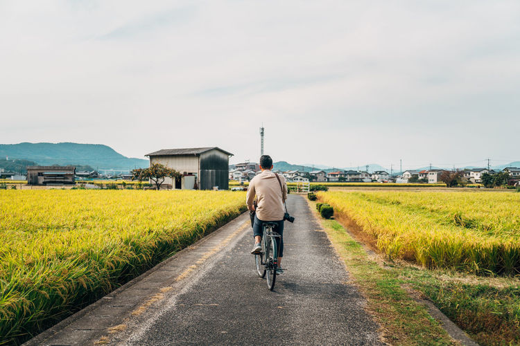 Rear view of man riding bicycle on road against sky