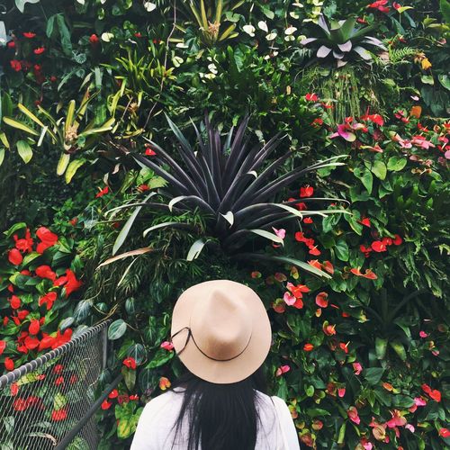 Rear view of woman wearing hat looking at plants