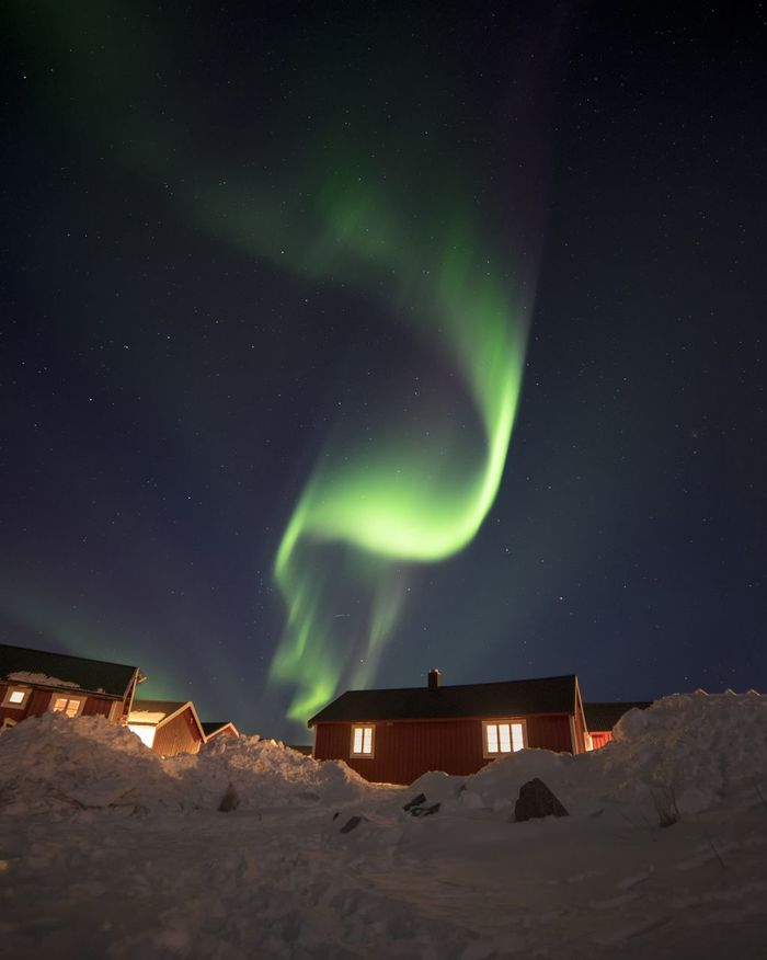 Aurora polaris over houses against sky at night
