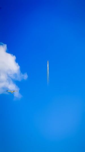Low angle view of airplane flying against clear blue sky