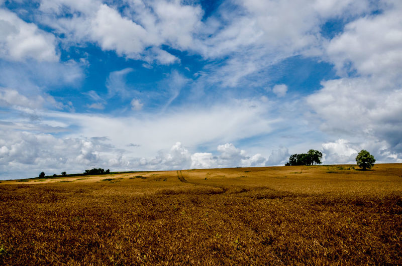 Agricultural field against sky