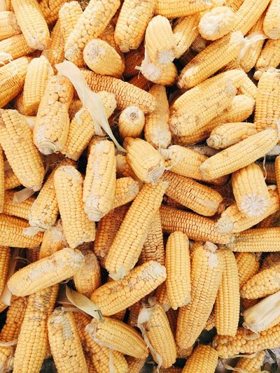Harvest day. corncobs at market