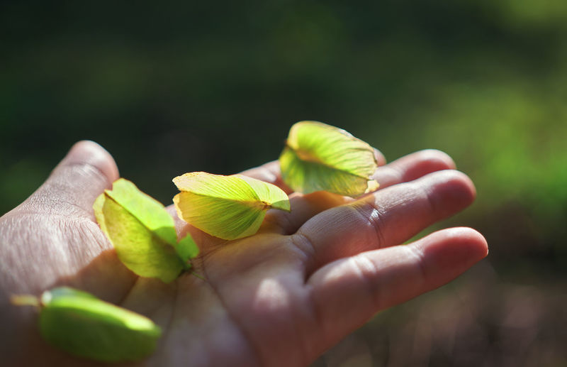 green