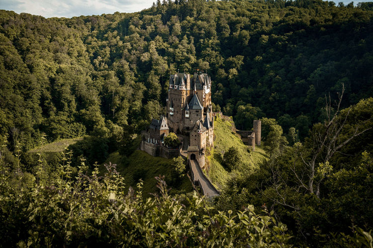 Scenic view of forest with a medieval castle