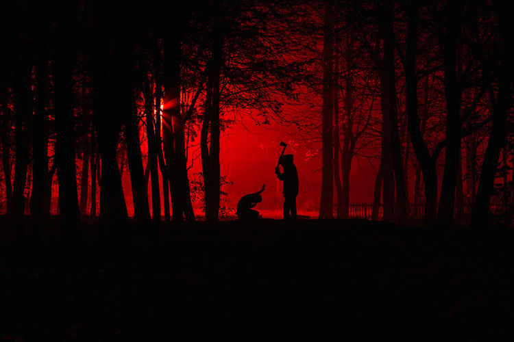 Silhouette man standing by trees in forest
