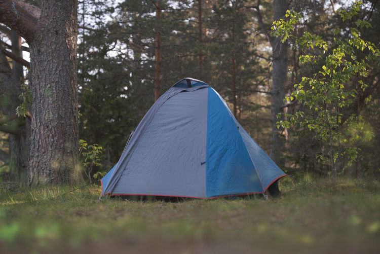 A tent in a beautiful picturesque summer forest. hiking theme.