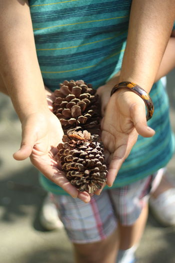 Woman holding pine cones