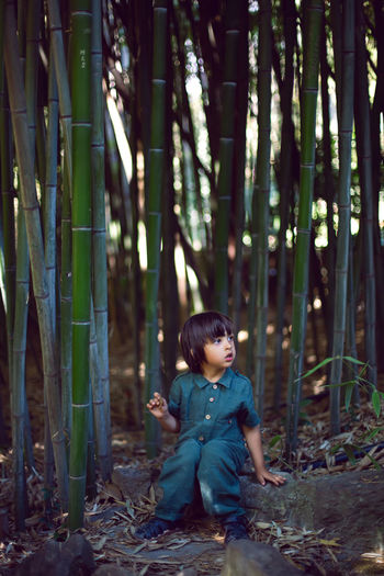 Boy child in a green jumpsuit walks among tall bamboos in the summer afternoon
