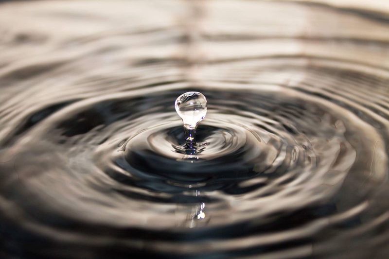 Close-up of water drop falling