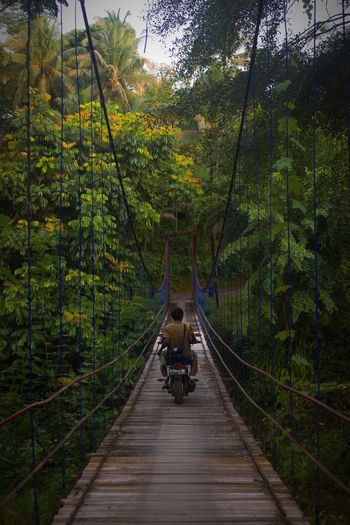 A bridge in the middle of a village that still smells like nature in indonesia.