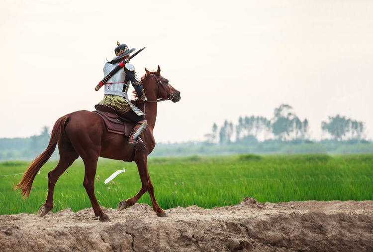 Man riding horse at rice paddy against clear sky