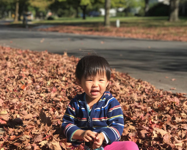 Portrait of cute girl with autumn leaves