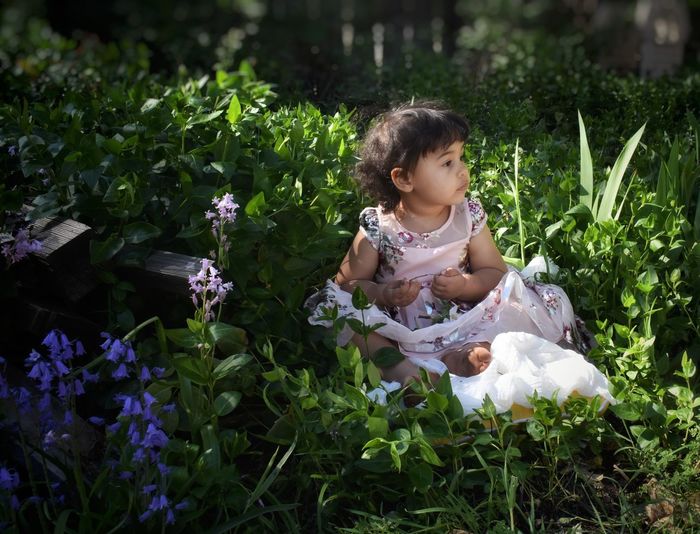 Little girl sitting in flower garden