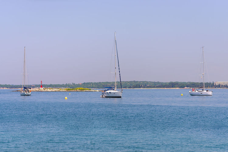 Sailboats sailing on sea against clear sky