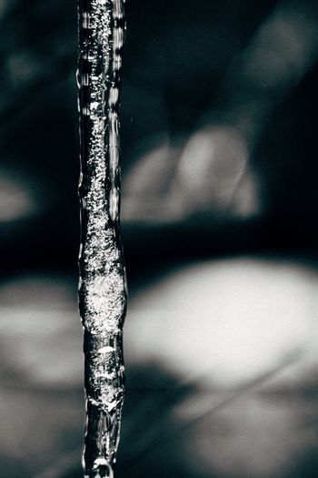 Close-up of icicles in water