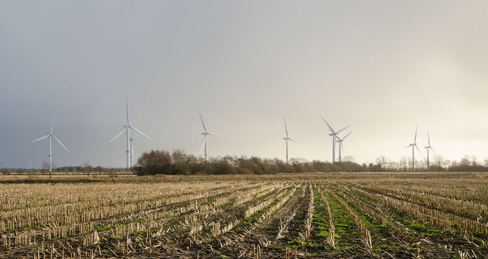 Wind turbines on stubble field against sky during autumn