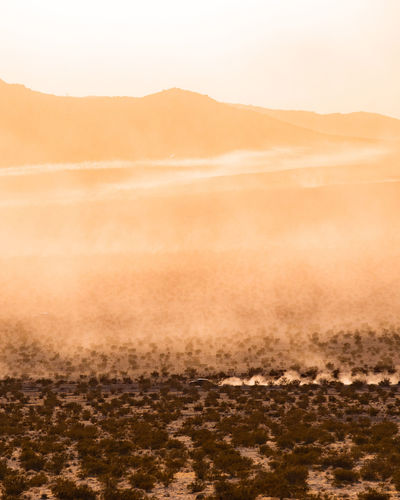Trucks racing through the desert in the distance kicking up dust trails