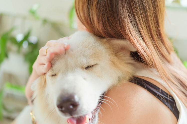 Close-up of woman with dog