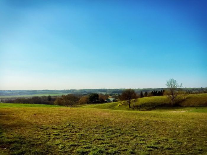 Scenic view of grassy field against clear sky