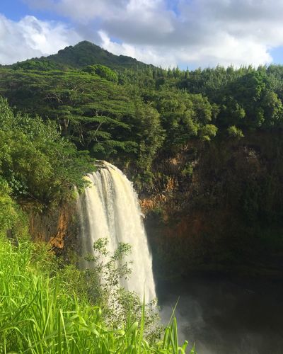 Scenic view of waterfall in forest against sky