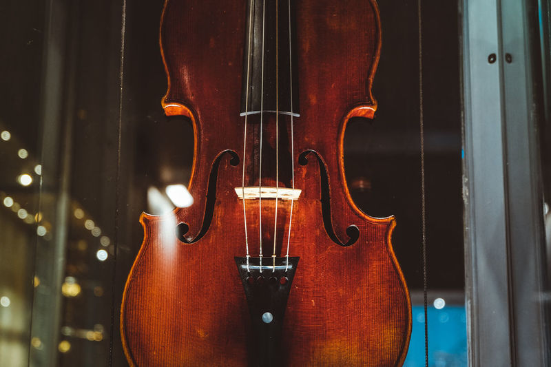 Close-up of violin 