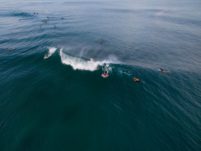 High angle view of surfers in sea