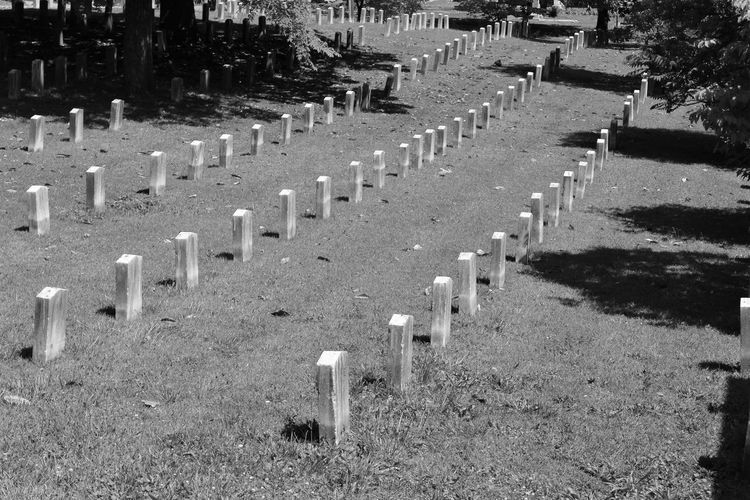 Row of cross on cemetery