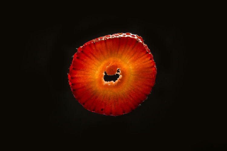 Close-up of red fruit against black background